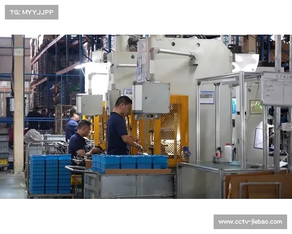 残疾人乒乓球赛规模扩大，科技辅助设备提升参赛体验